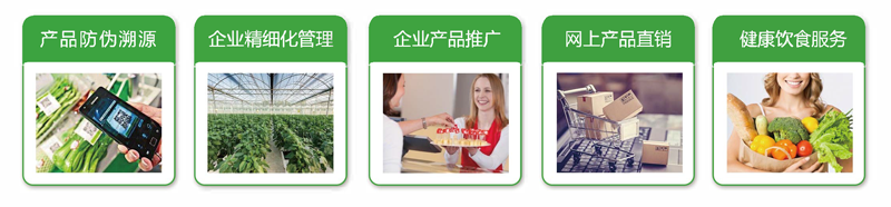 1-2019硅田產(chǎn)品畫冊1.8 18.png